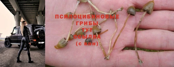 mix Ладушкин