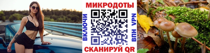 Псилоцибиновые грибы Psilocybe  как найти   Новая Ляля 